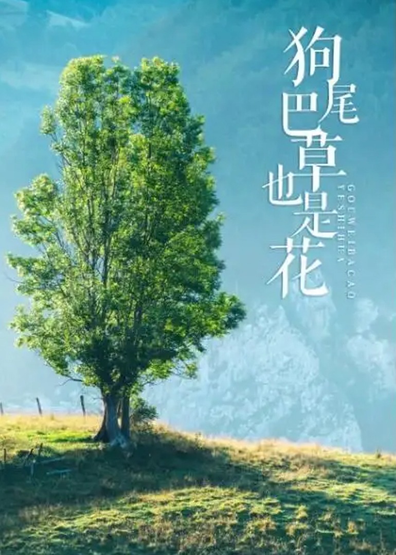 狗尾巴草也是花(全集)