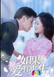 如果有来生(全集)