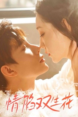 情陷双生花(全集)