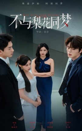 不与梨花同梦(全集)