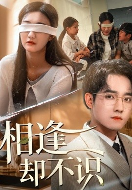 相逢却不识(全集)