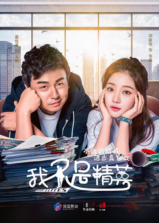 我不是精英网络版 第29集